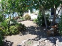 Uno scorcio del nostro giardino