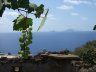 In lontananza Basiluzzo e Panarea